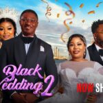 BLACK WEDDING 2 LATEST YORUBA MOVIE 2025 Lola Idije, Adeniyi Johnson, Seyi Edun, Jblaze, Zainab Baka 1767929798_maxresdefault.jpg