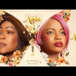 I AM ANIS. Latest Nigerian Movie by Biodun Stephen ft Shaffy Bello, Mr MACARONI, 1768591188_hqdefault.jpg