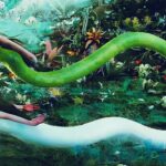 Girl Saves Boy's Life, But He Marries a 1000-Year-Old SNAKE?! Find Out the Heartbreaking Ending! 1769223096_maxresdefault.jpg