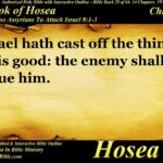 Hosea Chapter 8 - Bible Book 28 - Holy Bible Audio Text - King James Read Along Bible 1777513713_maxresdefault.jpg
