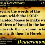 Deuteronomy Chapter 29 - Bible Book 05 - Holy Bible Audio Text - King James Read Along Bible 1777731866_maxresdefault.jpg