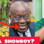 Watch how Cocoa farmers disgrace Mahama & NDC over new Cocoa price -Nana Addo laughs 1779638035_maxresdefault.jpg
