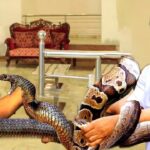 please watch this New Release zubby micheal Nigerian Nollywood Movie 2025 1781700313_maxresdefault.jpg