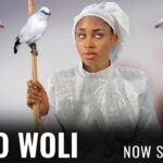 OMO WOLI - A Nigerian Yoruba Movie Starring - Mide Martins, Bimbo Oshin, Yetunde Barnabas, 1781838581_maxresdefault.jpg
