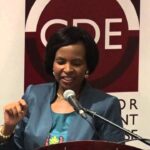 Democracy Works! presentation highlights at the Johannesburg launch 1785040450_maxresdefault.jpg